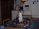 Filename=100_1578.jpg
Filesize=362KiB
Dimensions=2047x1533
Date added=Feb 01, 2018 100_1578.jpg