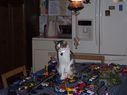 Filename=100_1579.jpg
Filesize=368KiB
Dimensions=2047x1533
Date added=Feb 01, 2018 100_1579.jpg