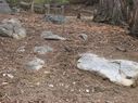 Filename=100_1055.JPG
Filesize=659KiB
Dimensions=2047x1534
Date added=Feb 01, 2018 100_1055.JPG
