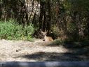 Filename=100_1069.JPG
Filesize=444KiB
Dimensions=2047x1534
Date added=Feb 01, 2018 100_1069.JPG