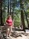 Filename=103_0088.JPG
Filesize=854KiB
Dimensions=1534x2047
Date added=Feb 01, 2018 103_0088.JPG
