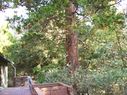 Filename=103_0185.JPG
Filesize=872KiB
Dimensions=2047x1534
Date added=Feb 01, 2018 103_0185.JPG
