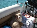 Filename=103_0206.JPG
Filesize=402KiB
Dimensions=2047x1534
Date added=Feb 01, 2018 103_0206.JPG