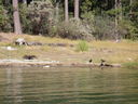 Filename=IMGP0062.JPG
Filesize=626KiB
Dimensions=2048x1536
Date added=Feb 01, 2018 IMGP0062.JPG