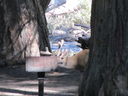 Filename=IMG_0079.JPG
Filesize=392KiB
Dimensions=2048x1536
Date added=Feb 01, 2018 IMG_0079.JPG