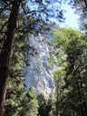 Filename=IMG_0084.JPG
Filesize=1060KiB
Dimensions=1536x2048
Date added=Feb 01, 2018 IMG_0084.JPG
