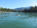 Filename=IMG_0195.JPG
Filesize=399KiB
Dimensions=2048x1536
Date added=Feb 01, 2018 IMG_0195.JPG
