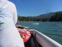 Filename=IMG_0200.JPG
Filesize=330KiB
Dimensions=2048x1536
Date added=Feb 01, 2018 IMG_0200.JPG