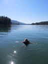 Filename=IMG_0302.JPG
Filesize=271KiB
Dimensions=1536x2048
Date added=Feb 01, 2018 IMG_0302.JPG