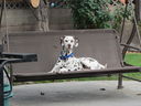 Filename=IMG_0304.JPG
Filesize=376KiB
Dimensions=2048x1536
Date added=Feb 01, 2018 IMG_0304.JPG