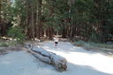 Filename=SAM_0016.JPG
Filesize=524KiB
Dimensions=2048x1365
Date added=Feb 01, 2018 SAM_0016.JPG