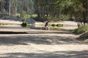 Filename=SAM_0018.JPG
Filesize=614KiB
Dimensions=2048x1365
Date added=Feb 01, 2018 SAM_0018.JPG