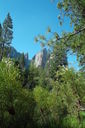 Filename=SAM_0025.JPG
Filesize=812KiB
Dimensions=1365x2048
Date added=Feb 01, 2018 SAM_0025.JPG