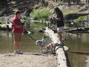Filename=IMG_0850.JPG
Filesize=571KiB
Dimensions=2048x1536
Date added=Feb 01, 2018 IMG_0850.JPG