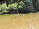 Filename=IMG_0861.JPG
Filesize=705KiB
Dimensions=2048x1536
Date added=Feb 01, 2018 IMG_0861.JPG