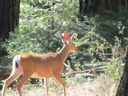 Filename=IMG_0869.JPG
Filesize=464KiB
Dimensions=2048x1536
Date added=Feb 01, 2018 IMG_0869.JPG