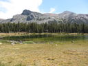 Filename=IMG_0900.JPG
Filesize=672KiB
Dimensions=2048x1536
Date added=Feb 01, 2018 IMG_0900.JPG