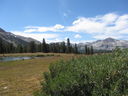 Filename=IMG_0901.JPG
Filesize=591KiB
Dimensions=2048x1536
Date added=Feb 01, 2018 IMG_0901.JPG