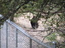 Filename=IMG_0905.JPG
Filesize=515KiB
Dimensions=2048x1536
Date added=Feb 01, 2018 IMG_0905.JPG