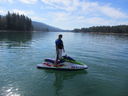 Filename=IMG_0975.JPG
Filesize=437KiB
Dimensions=2048x1536
Date added=Feb 01, 2018 IMG_0975.JPG