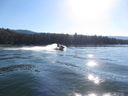 Filename=IMG_0991.JPG
Filesize=354KiB
Dimensions=2048x1536
Date added=Feb 01, 2018 IMG_0991.JPG
