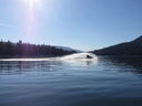 Filename=IMG_0994.JPG
Filesize=235KiB
Dimensions=2048x1536
Date added=Feb 01, 2018 IMG_0994.JPG