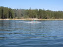 Filename=IMG_0995.JPG
Filesize=531KiB
Dimensions=2048x1536
Date added=Feb 01, 2018 IMG_0995.JPG