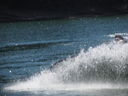 Filename=IMG_0998.JPG
Filesize=404KiB
Dimensions=2048x1536
Date added=Feb 01, 2018 IMG_0998.JPG