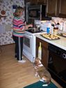 Filename=100_0451.JPG
Filesize=461KiB
Dimensions=1534x2047
Date added=Feb 01, 2018 100_0451.JPG