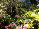 Filename=100_0124.jpg
Filesize=762KiB
Dimensions=2047x1534
Date added=Feb 01, 2018 100_0124.jpg