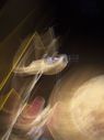 Filename=100_1574.jpg
Filesize=237KiB
Dimensions=1533x2047
Date added=Feb 01, 2018 100_1574.jpg