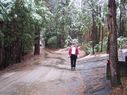 Filename=100_0792.jpg
Filesize=715KiB
Dimensions=2047x1533
Date added=Feb 01, 2018 100_0792.jpg