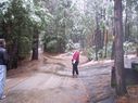 Filename=100_0793.jpg
Filesize=673KiB
Dimensions=2047x1533
Date added=Feb 01, 2018 100_0793.jpg