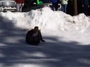 Filename=100_0808.jpg
Filesize=278KiB
Dimensions=2047x1533
Date added=Feb 01, 2018 100_0808.jpg