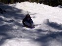 Filename=100_0843.jpg
Filesize=287KiB
Dimensions=2047x1533
Date added=Feb 01, 2018 100_0843.jpg
