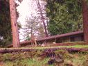 Filename=100_0648.JPG
Filesize=645KiB
Dimensions=2047x1534
Date added=Feb 01, 2018 100_0648.JPG