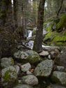 Filename=100_0651.JPG
Filesize=663KiB
Dimensions=1534x2047
Date added=Feb 01, 2018 100_0651.JPG