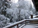 Filename=100_0654.JPG
Filesize=758KiB
Dimensions=2047x1534
Date added=Feb 01, 2018 100_0654.JPG
