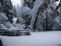 Filename=100_0655.JPG
Filesize=670KiB
Dimensions=2047x1534
Date added=Feb 01, 2018 100_0655.JPG