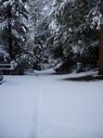 Filename=100_0657.JPG
Filesize=545KiB
Dimensions=1534x2047
Date added=Feb 01, 2018 100_0657.JPG