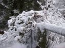 Filename=100_0658.JPG
Filesize=601KiB
Dimensions=2047x1534
Date added=Feb 01, 2018 100_0658.JPG