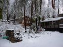 Filename=100_0669.JPG
Filesize=687KiB
Dimensions=2047x1534
Date added=Feb 01, 2018 100_0669.JPG