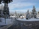 Filename=100_0670.JPG
Filesize=520KiB
Dimensions=2047x1534
Date added=Feb 01, 2018 100_0670.JPG