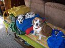 Filename=100_0673.JPG
Filesize=526KiB
Dimensions=2047x1534
Date added=Feb 01, 2018 100_0673.JPG