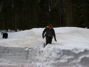 Filename=100_0676.JPG
Filesize=332KiB
Dimensions=2047x1534
Date added=Feb 01, 2018 100_0676.JPG