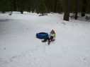 Filename=100_0677.JPG
Filesize=317KiB
Dimensions=2047x1534
Date added=Feb 01, 2018 100_0677.JPG