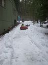 Filename=100_0689.JPG
Filesize=299KiB
Dimensions=1534x2047
Date added=Feb 01, 2018 100_0689.JPG