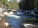 Filename=100_0709.JPG
Filesize=735KiB
Dimensions=2047x1534
Date added=Feb 01, 2018 100_0709.JPG