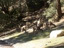 Filename=100_0711.JPG
Filesize=658KiB
Dimensions=2047x1534
Date added=Feb 01, 2018 100_0711.JPG
