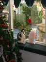 Filename=100_0497.JPG
Filesize=507KiB
Dimensions=1534x2047
Date added=Feb 01, 2018 100_0497.JPG